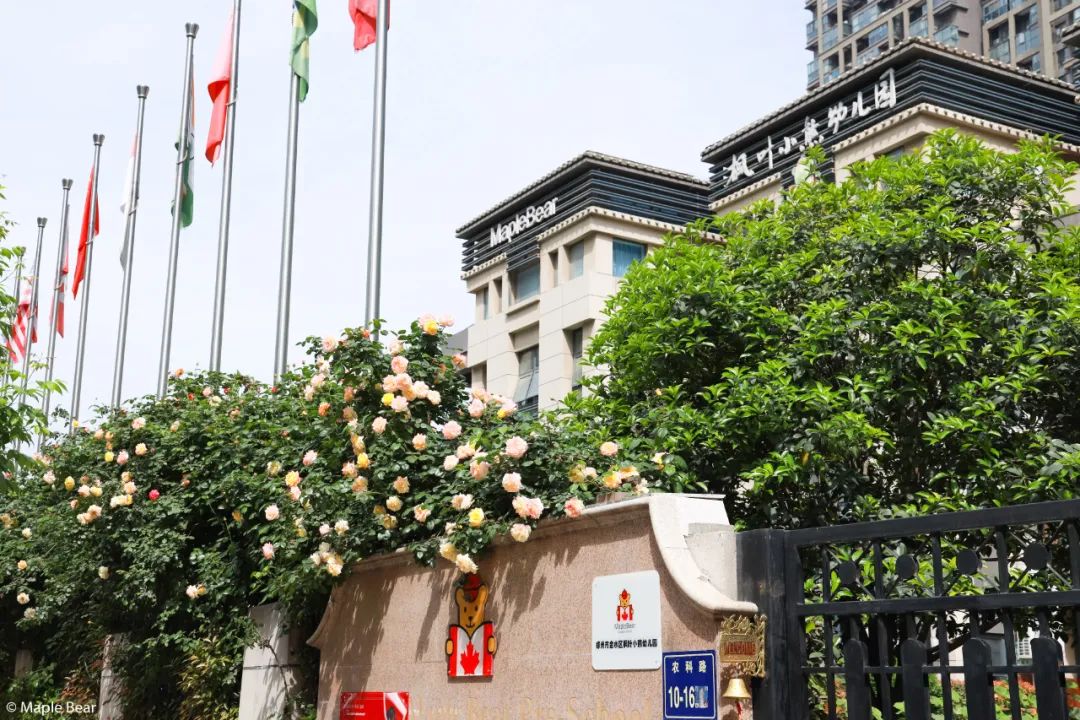 三个故事告诉你，孩子和老师究竟喜欢什么样的班级？| 小熊学院