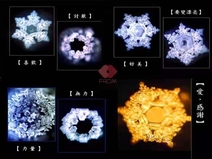 三个故事告诉你，孩子和老师究竟喜欢什么样的班级？| 小熊学院