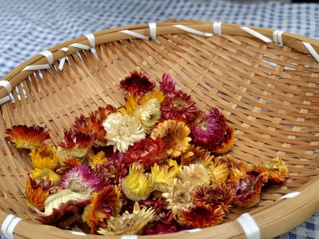 秋天怎么玩出艺术感?枫叶小熊幼儿园这场艺术节太会啦! 秋天怎么玩出艺术感?枫叶小熊幼儿园这场艺术节太会啦!