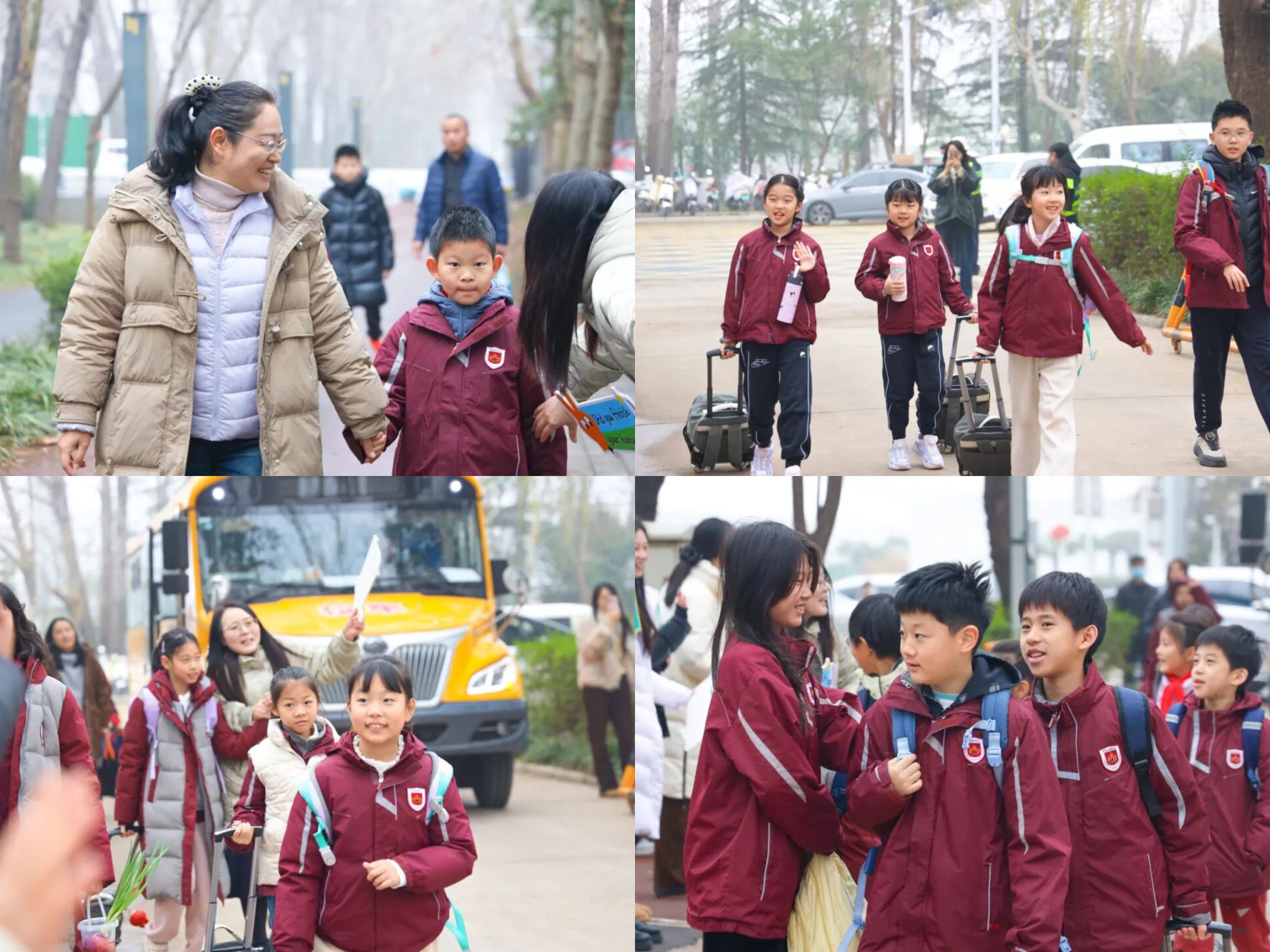 你们来了，就是枫叶小熊小树林里最好的风景