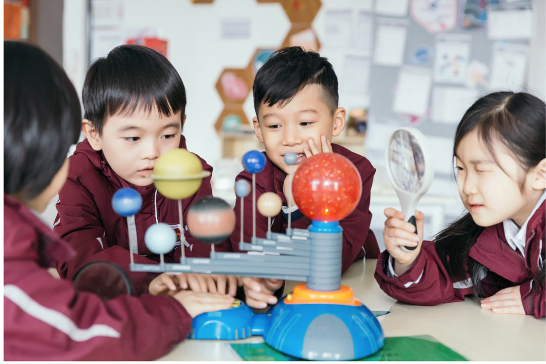 你们来了，就是枫叶小熊小树林里最好的风景