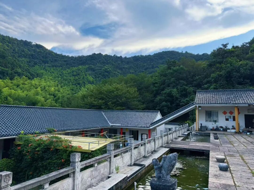 觉知之光，照见教育本心