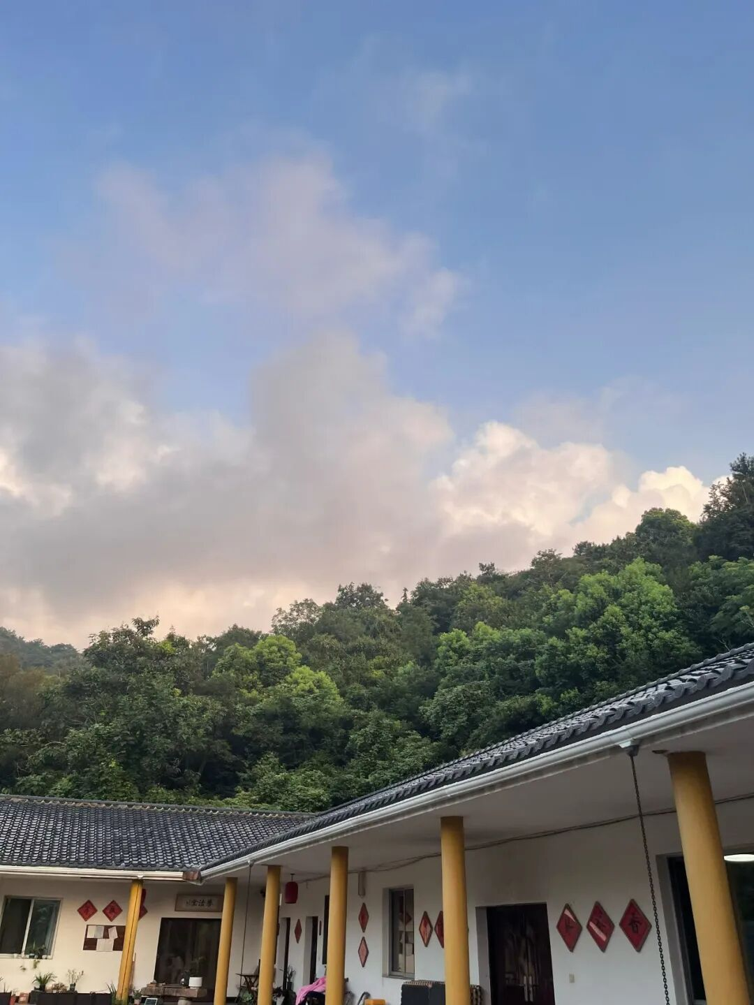 觉知之光，照见教育本心