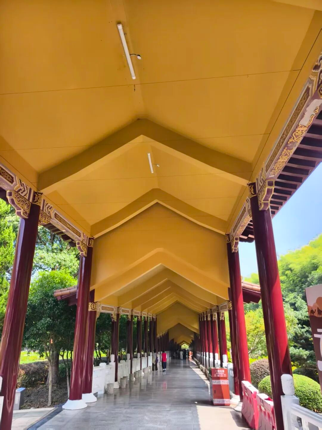 觉知之光，照见教育本心