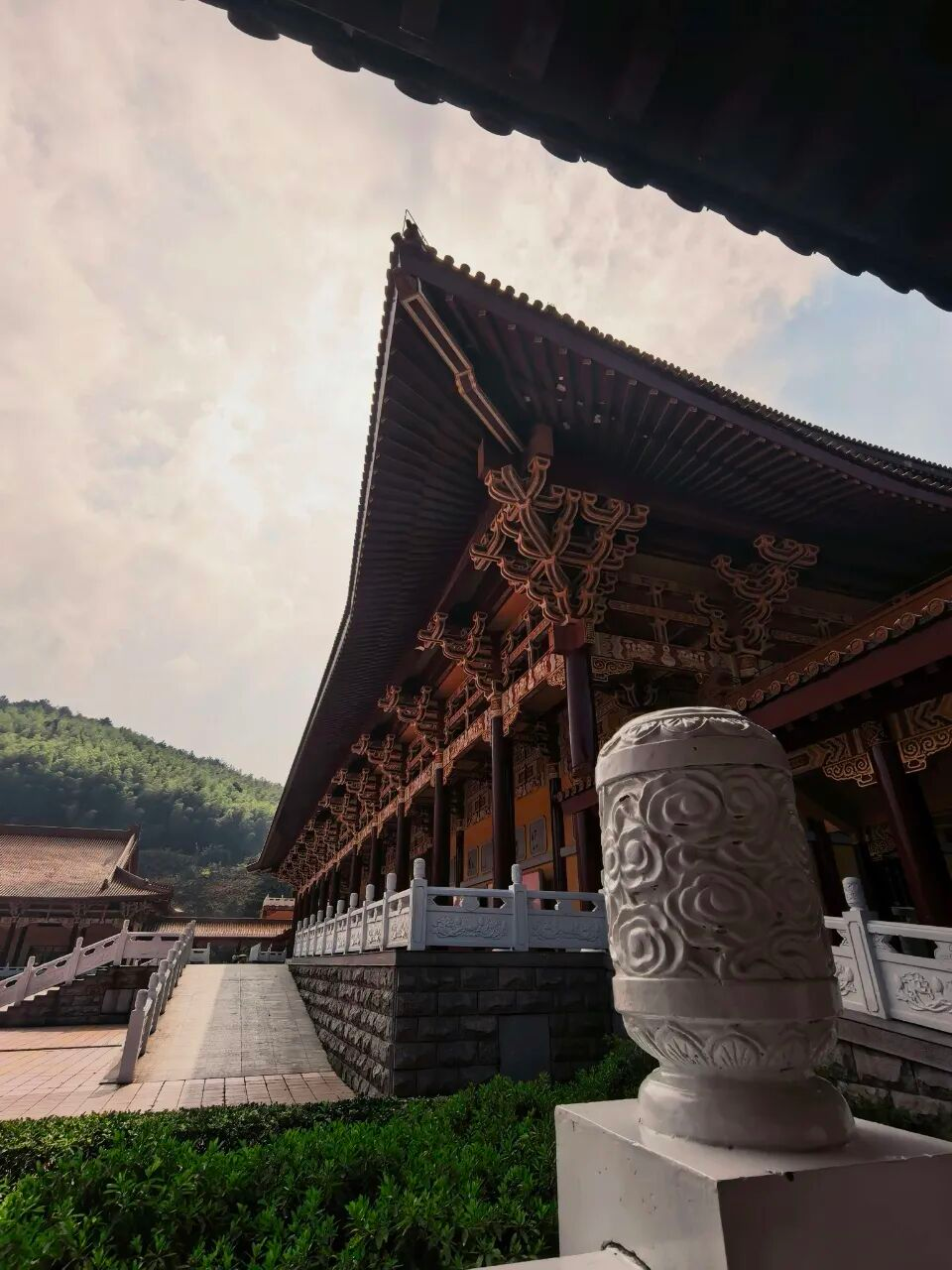 觉知之光，照见教育本心
